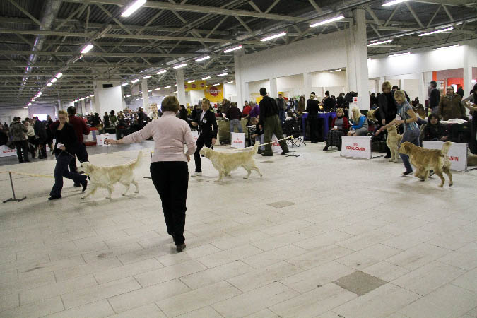 IMG_0221