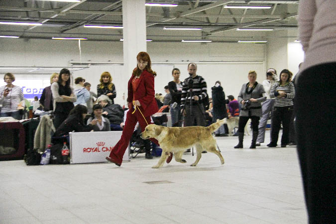 IMG_0346