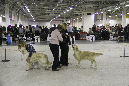 IMG_1954